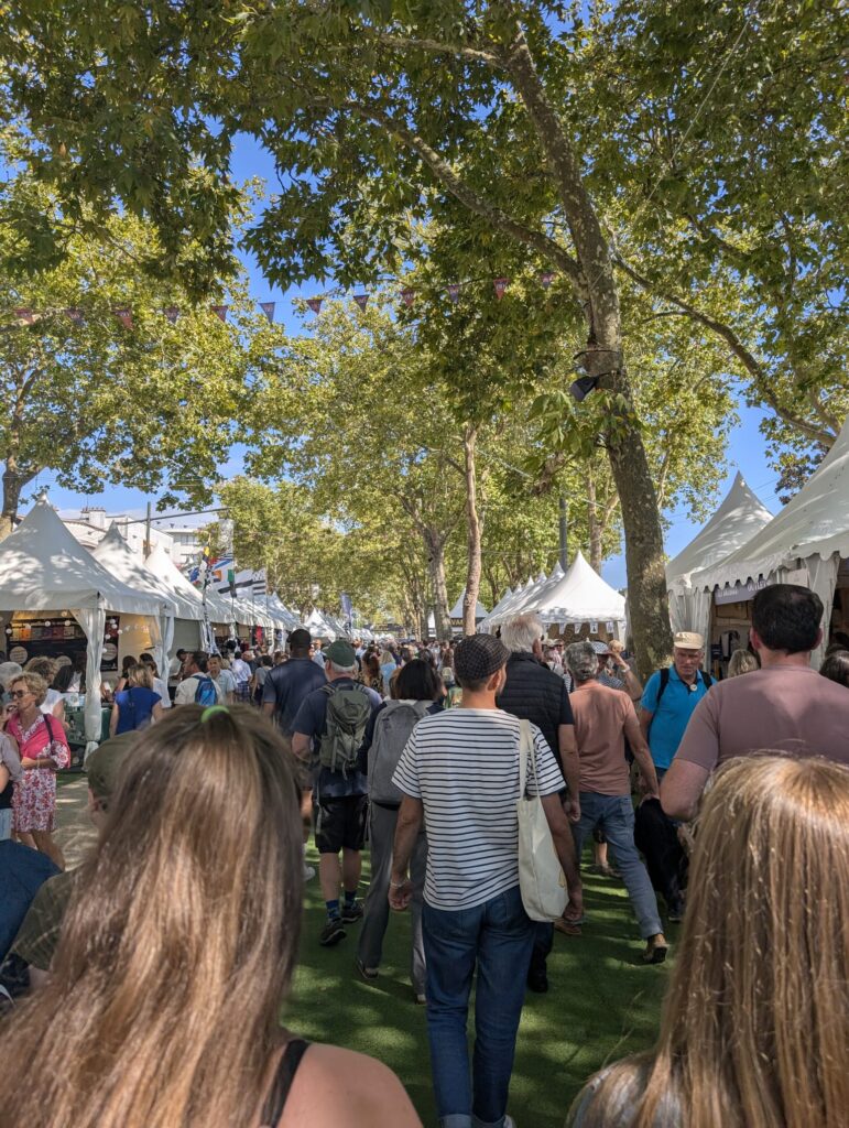 Guieldu nel Festival Intercelticu de Lorient 2025 7